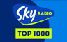 Sky Radio Top 1000 - Non-stop Feel Good, de beste mix van classis & hits - Classics/Hits